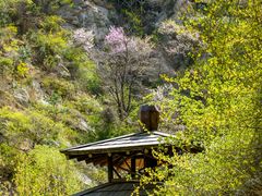 -九如山休闲旅游度假区