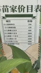 -莘苗家小儿推拿(印象城店)