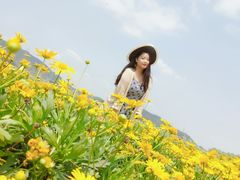 -光明小镇欢乐田园