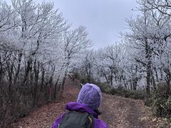 -湖州龙王山景区