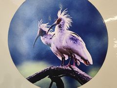 -下渚湖国家湿地公园科普馆