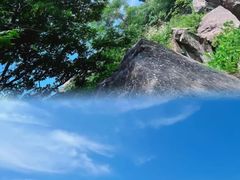 -秦岭风景区