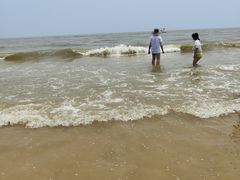 -日照海滨国家森林公园