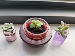 -尚艺造型.剪烫染.接发