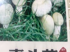 -菌之家·专业纯野生菌火锅·特色炒菌