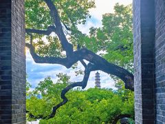 -江心屿景区