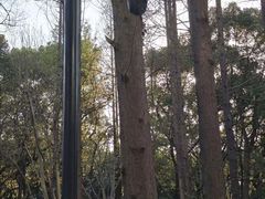 -徐家汇源景区-衡山公园