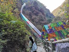 -大围山国家森林公园