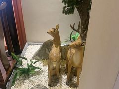 -二分八云雁阁•新晋菜大同味(长治路店)