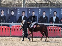 -北京群众马术培训基地