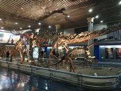 -国家自然博物馆