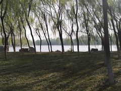 -秀水公园