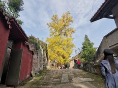 -金堂县云顶石城风景区