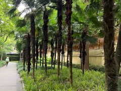 -徐家汇源景区-衡山公园