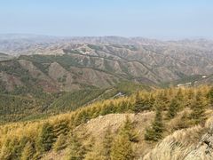 -苏木山森林公园