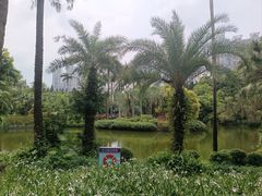 -广州珠江公园