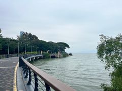 -深圳湾公园(南山区)