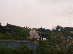 -重庆园博园