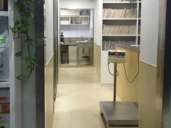 -爱侣宠医·鹦鹉专科·小型哺乳类·异宠专科(灵石路店)