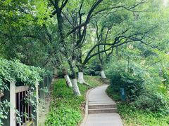 -临平公园(临平街道)