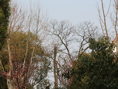 -沙市市中山公园