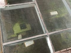 -东关历史文化旅游区-东门遗址