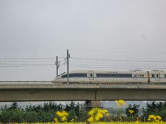 -光明小镇欢乐田园
