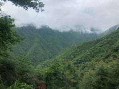 -遂昌金矿国家矿山公园