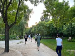 -安德鲁户外烧烤帐篷营地(马泉营店)