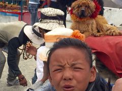 羊卓雍错-羊卓雍措