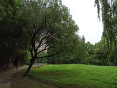 -大宁郁金香公园-停车场