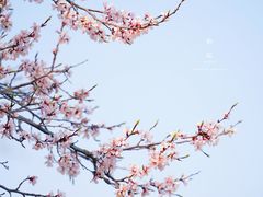 -颐和园