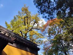 -虞山风景区