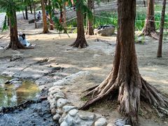 -白水寺森林公园