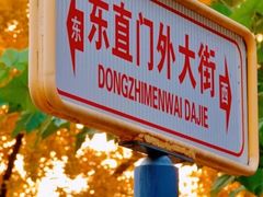 -三里屯东五街银杏大道