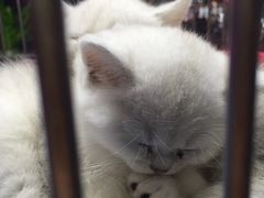 -青石桥市场北1-27号