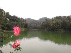 -中山市树木园