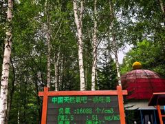 -汤旺河林海奇石景区