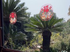 -万景茶庄·台州菜