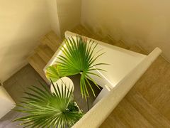 -伊斯坦布尔土耳其清真咖啡餐厅