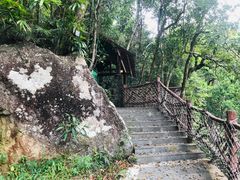 -海南热带雨林国家公园吊罗山景区