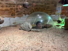 -正佳雨林生态植物园