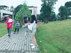 -铁山坪森林公园