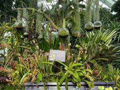 -植物学家的女儿(北马道巷店)