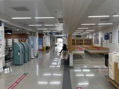 -首都医科大学附属北京潞河医院