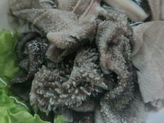 鲜脆毛肚-阳坊胜利涮羊肉(阳坊老店)