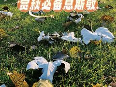 -人民广场