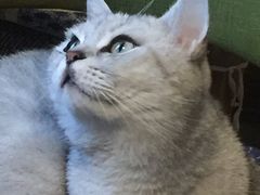-不舍昼夜咖啡馆