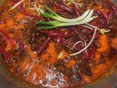 -辣伍鲜毛肚老火锅(元一店)