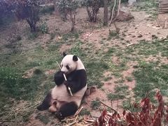 -济南野生动物世界